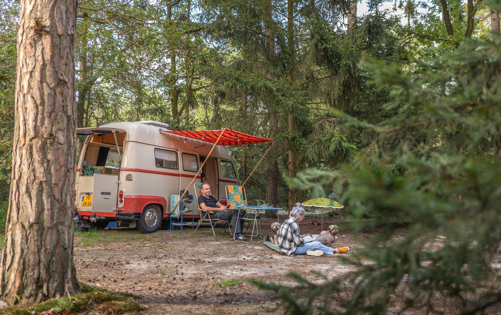 Juni-Arrangement Naturplatz