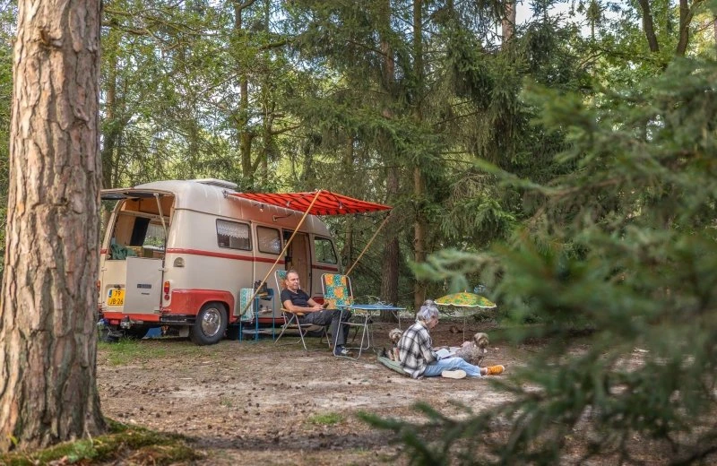 Juni-Arrangement Naturplatz