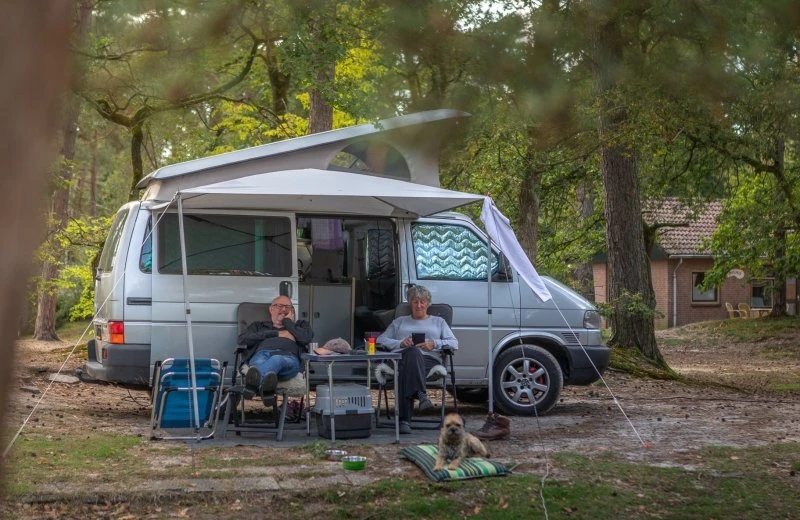 September-Arrangement Naturplatz