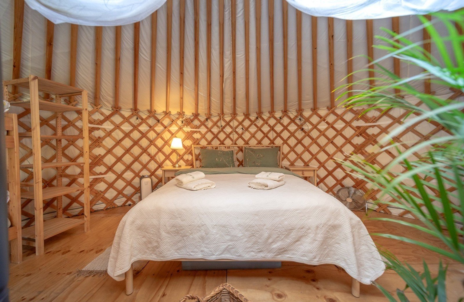 20240924 meuleman yurt 1 lr robbaas 6