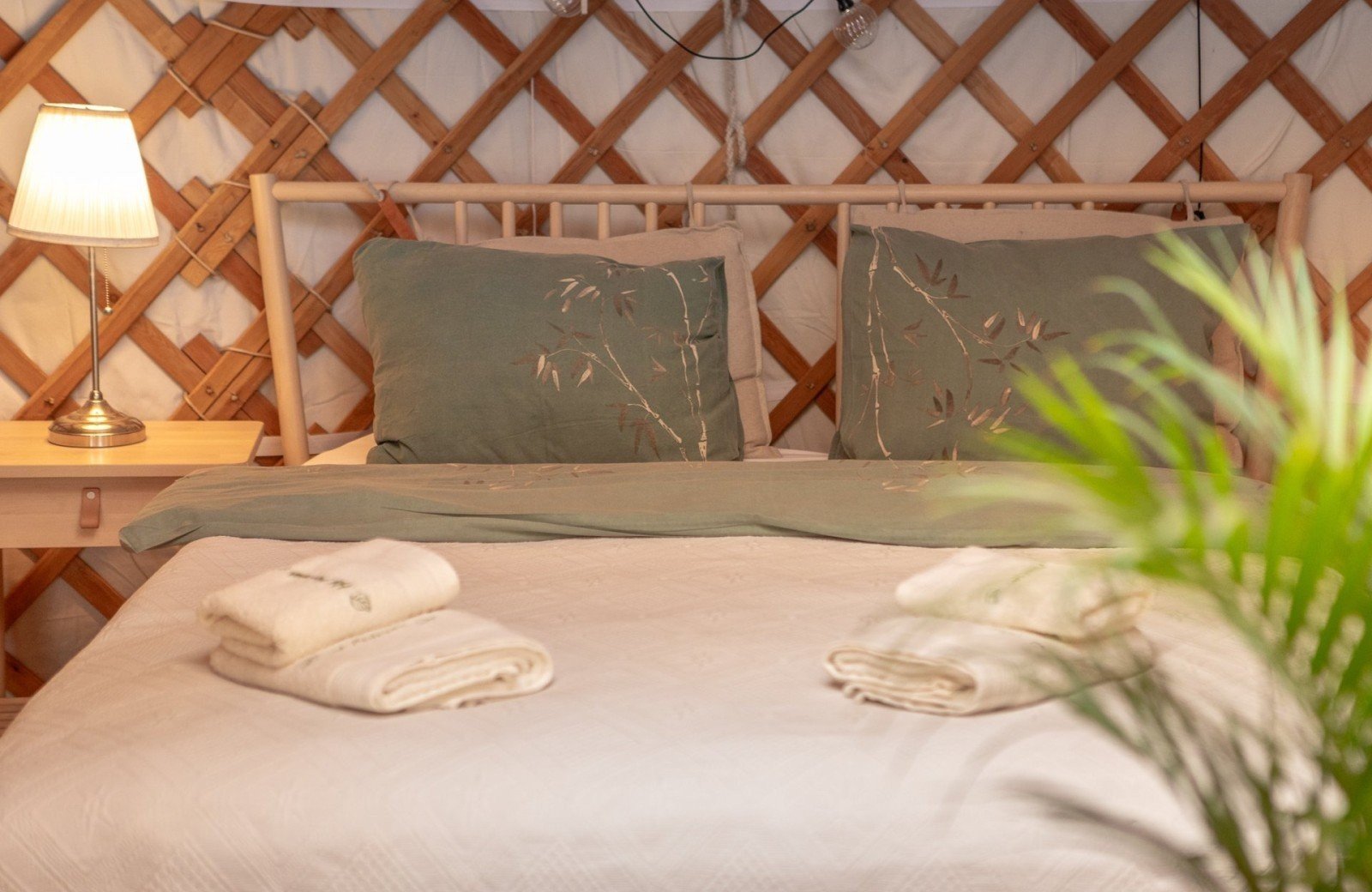 20240924 meuleman yurt 1 lr robbaas 7