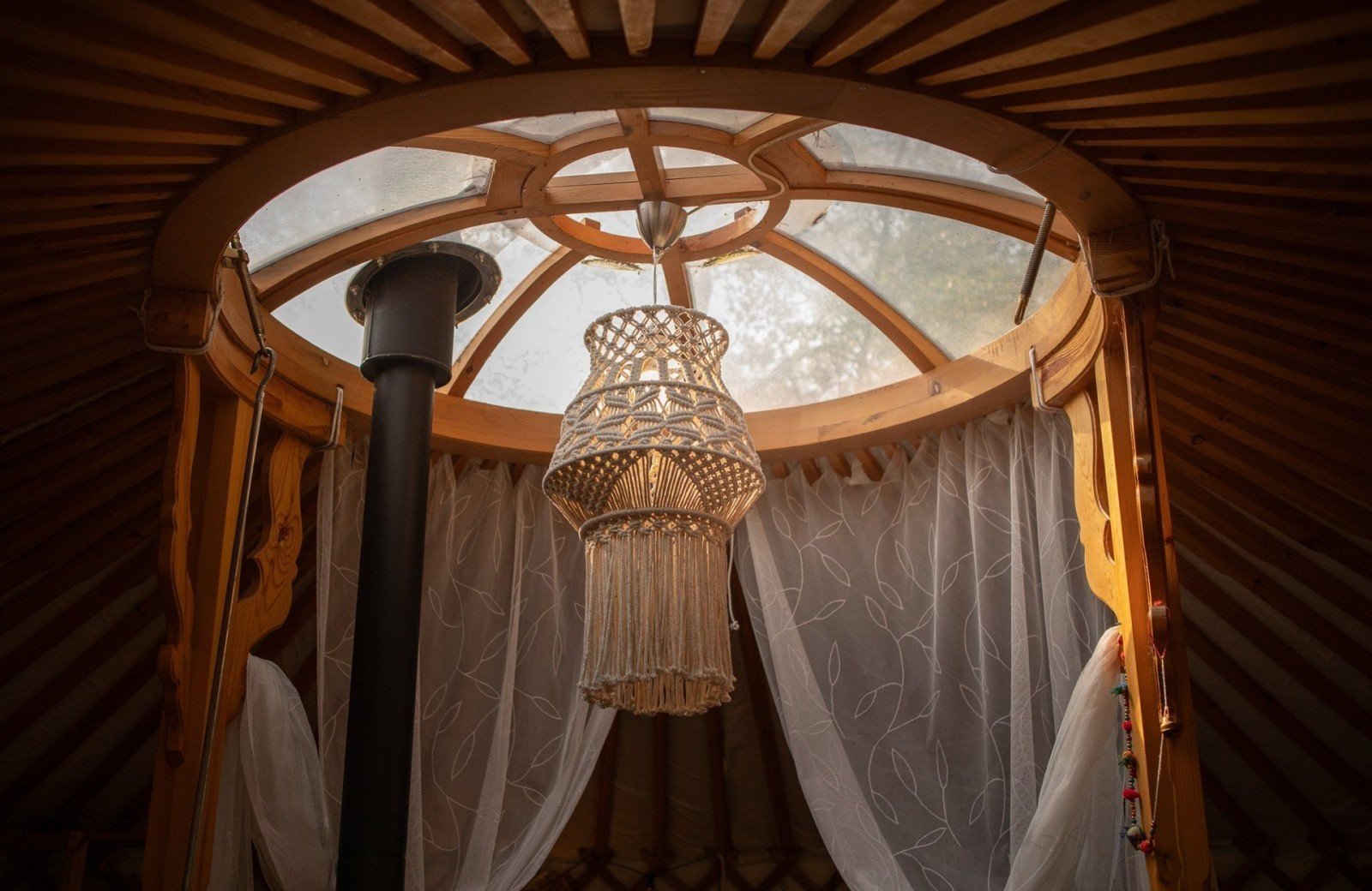 20240924 meuleman yurt 1 lr robbaas 8