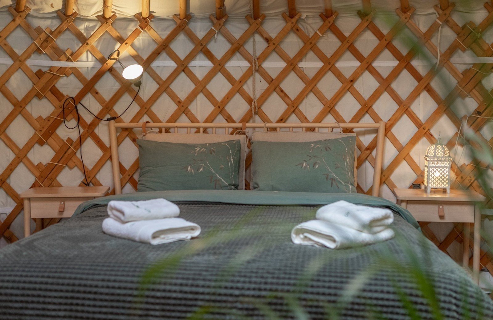 20240924 meuleman yurt 2 lr robbaas 5