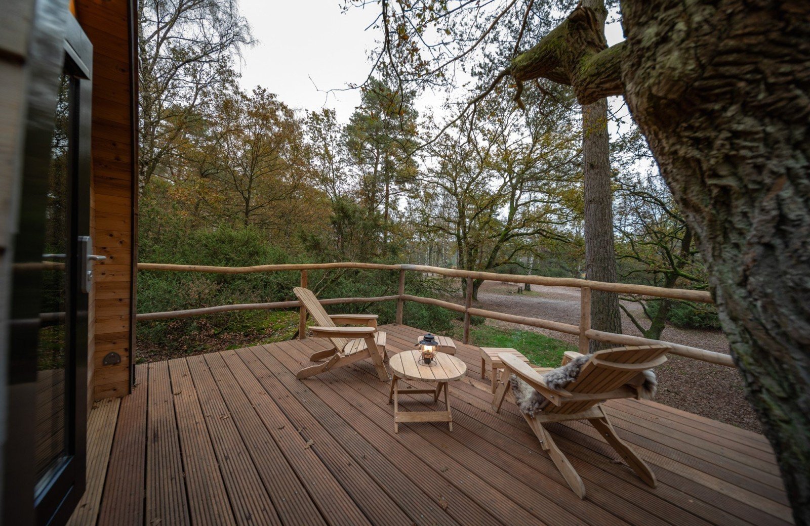 20241101 meuleman natuurpod herfst lr robbaas 11