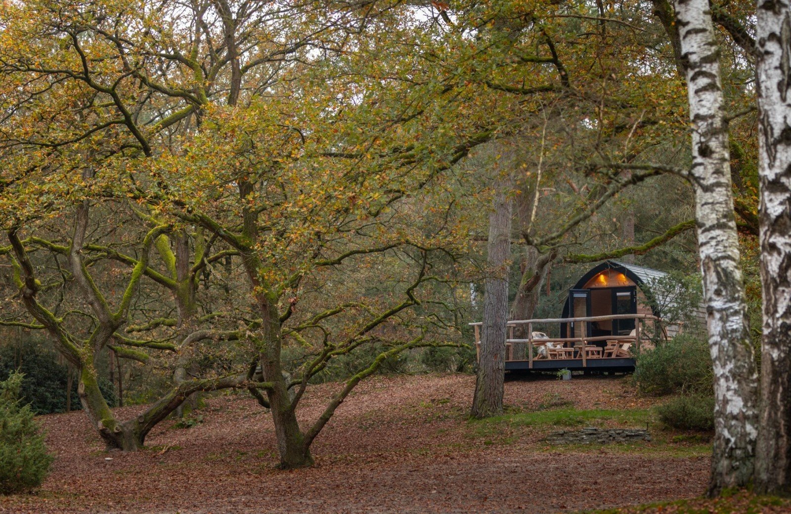 20241101 meuleman natuurpod herfst lr robbaas 2
