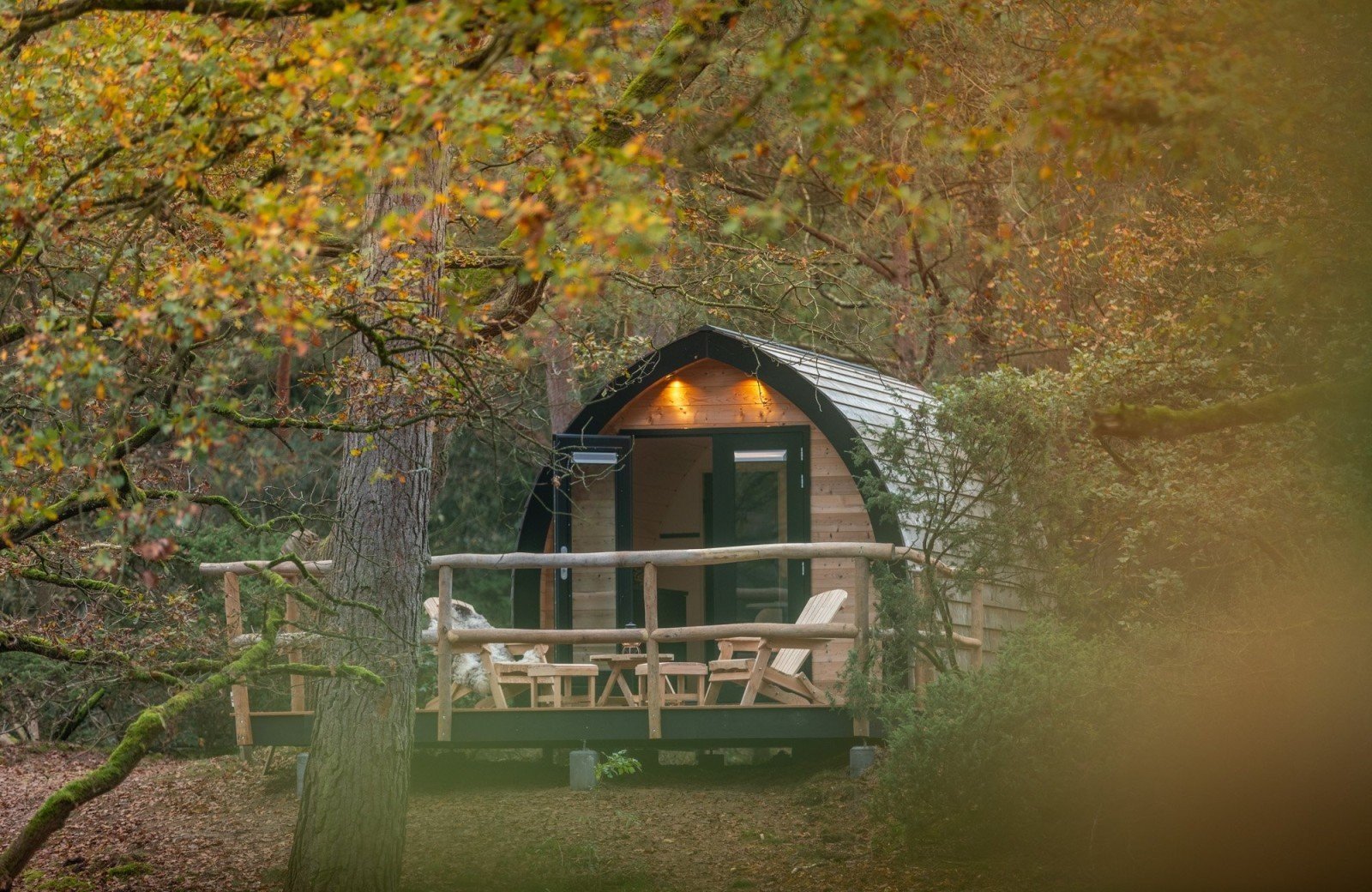 20241101 meuleman natuurpod herfst lr robbaas 4