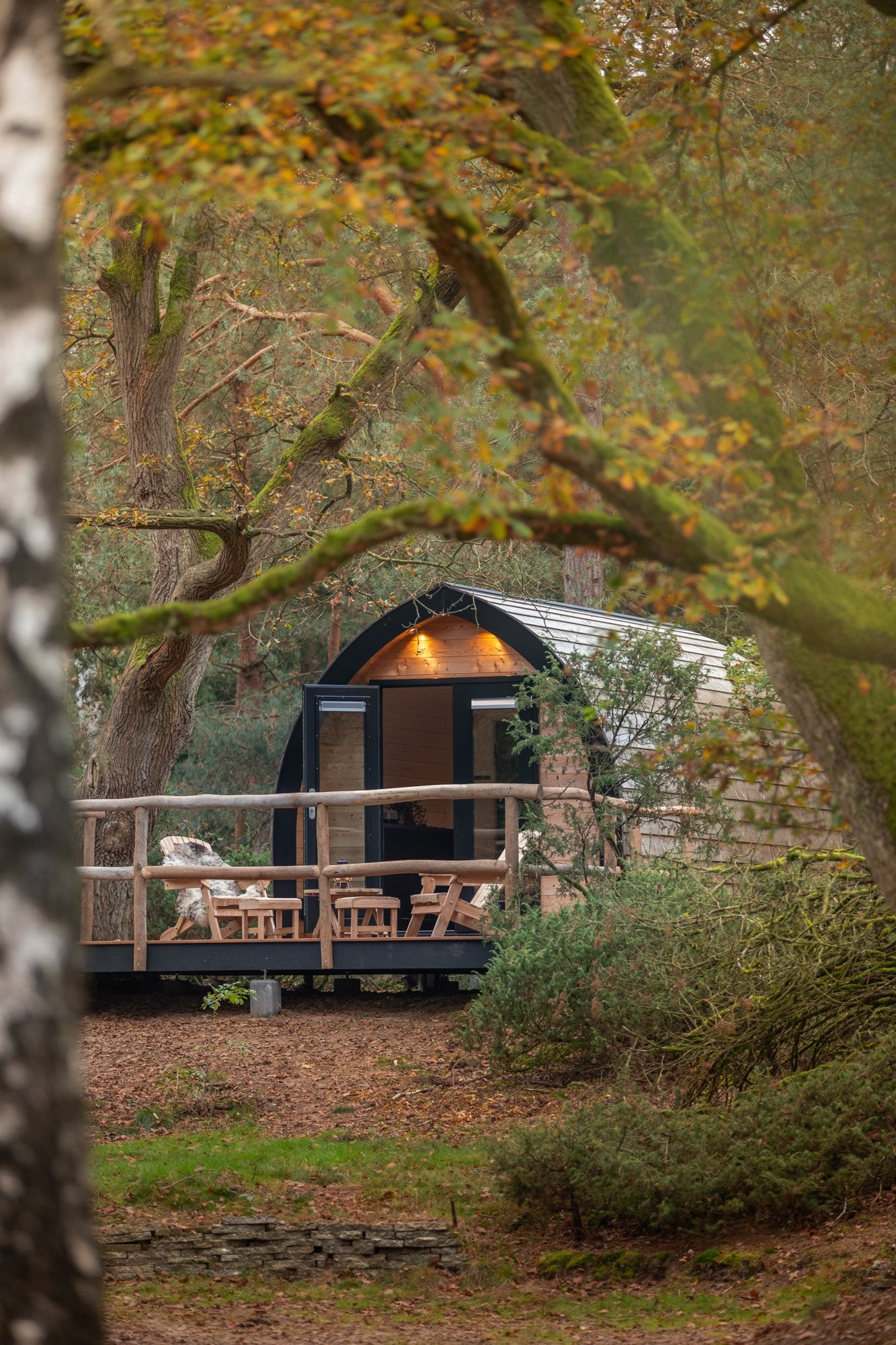 20241101 meuleman natuurpod herfst lr robbaas 5