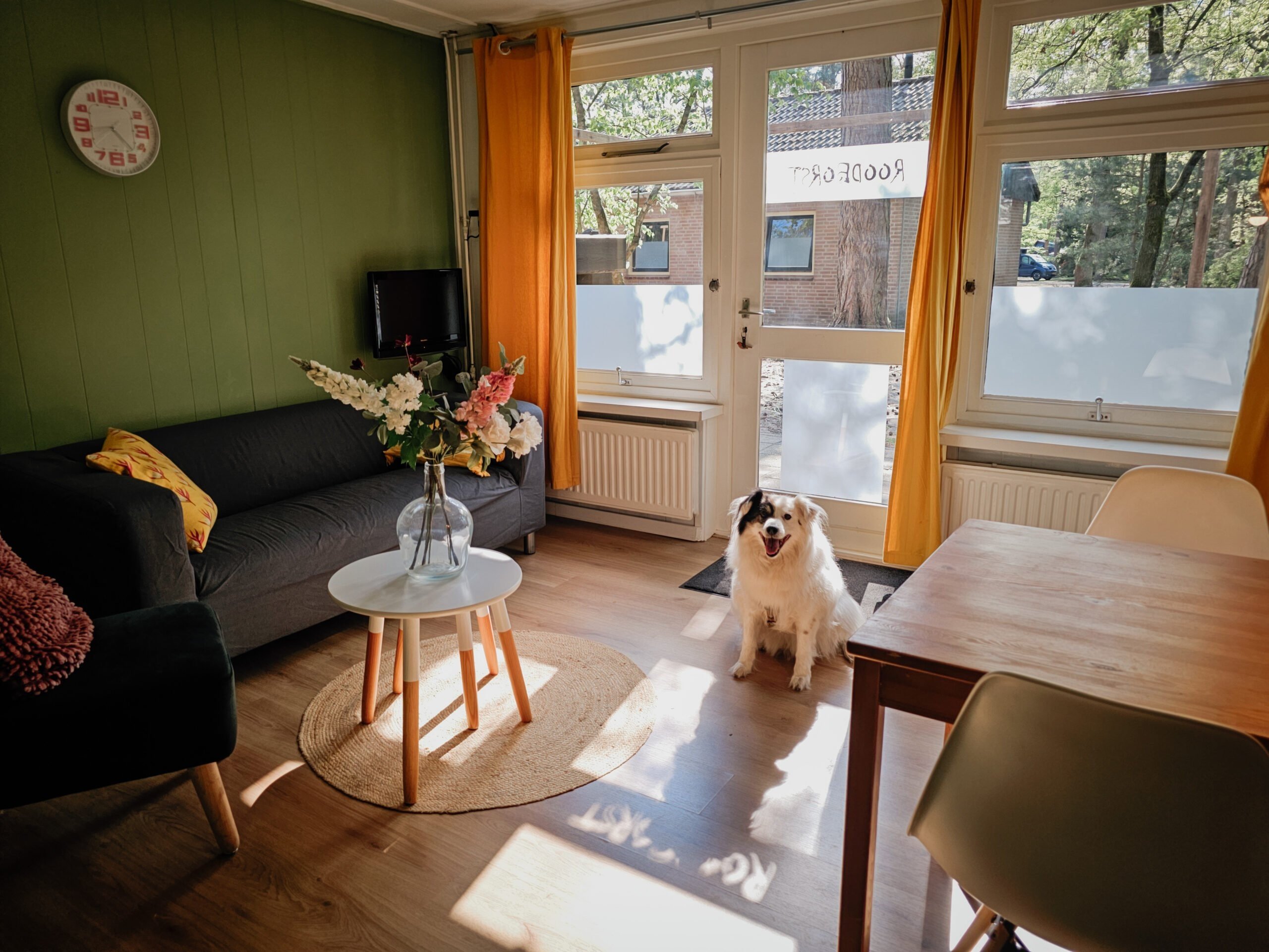 Vuurwerkvrij genieten met je hond