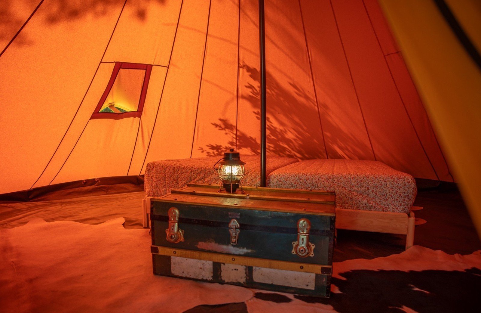 20250503 meuleman voorjaar tipi lr robbaas 15