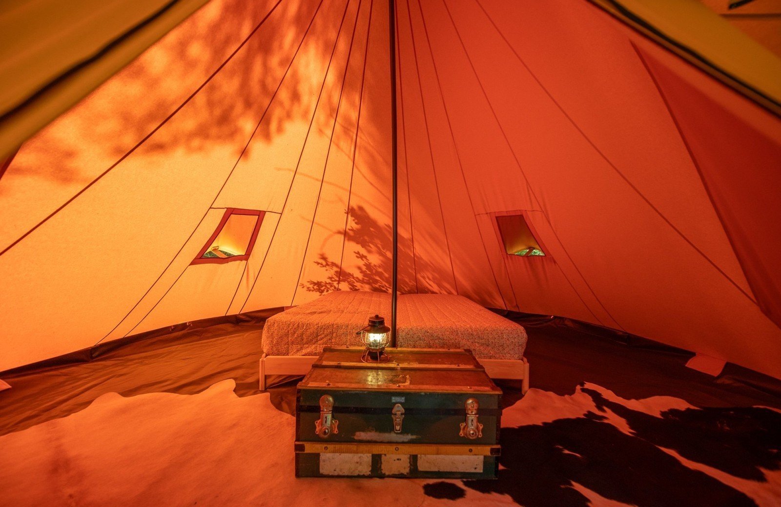 20250503 meuleman voorjaar tipi lr robbaas 20