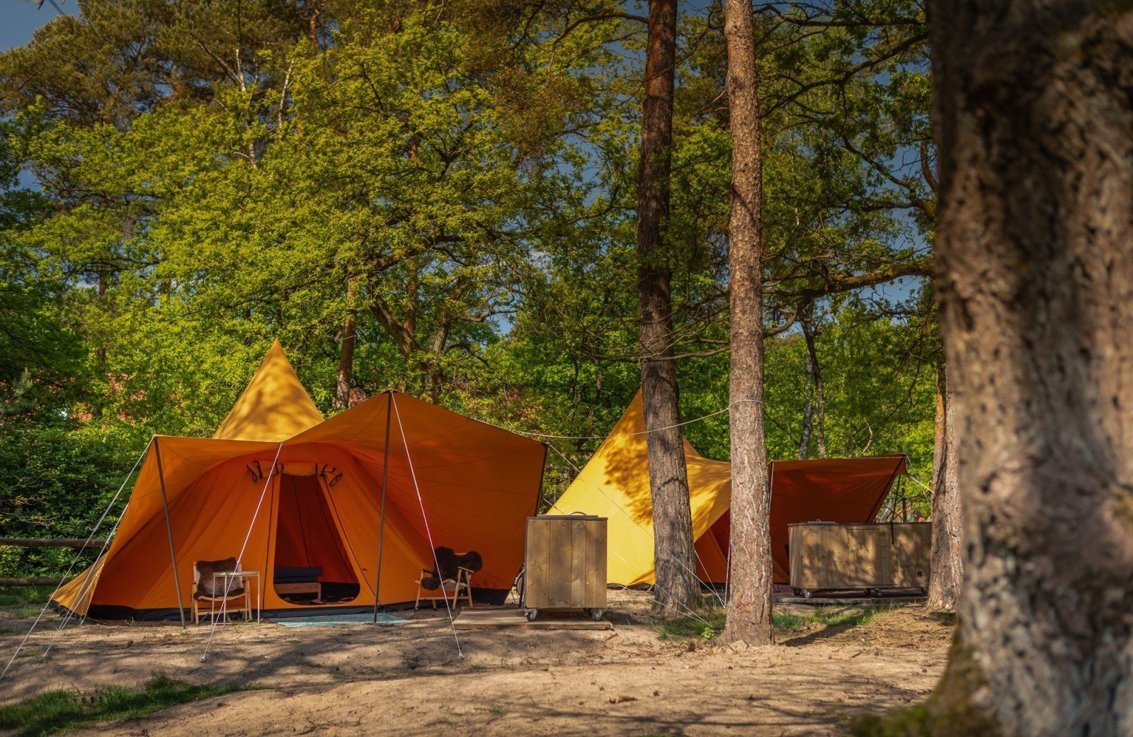 20250503 meuleman voorjaar tipi lr robbaas 24