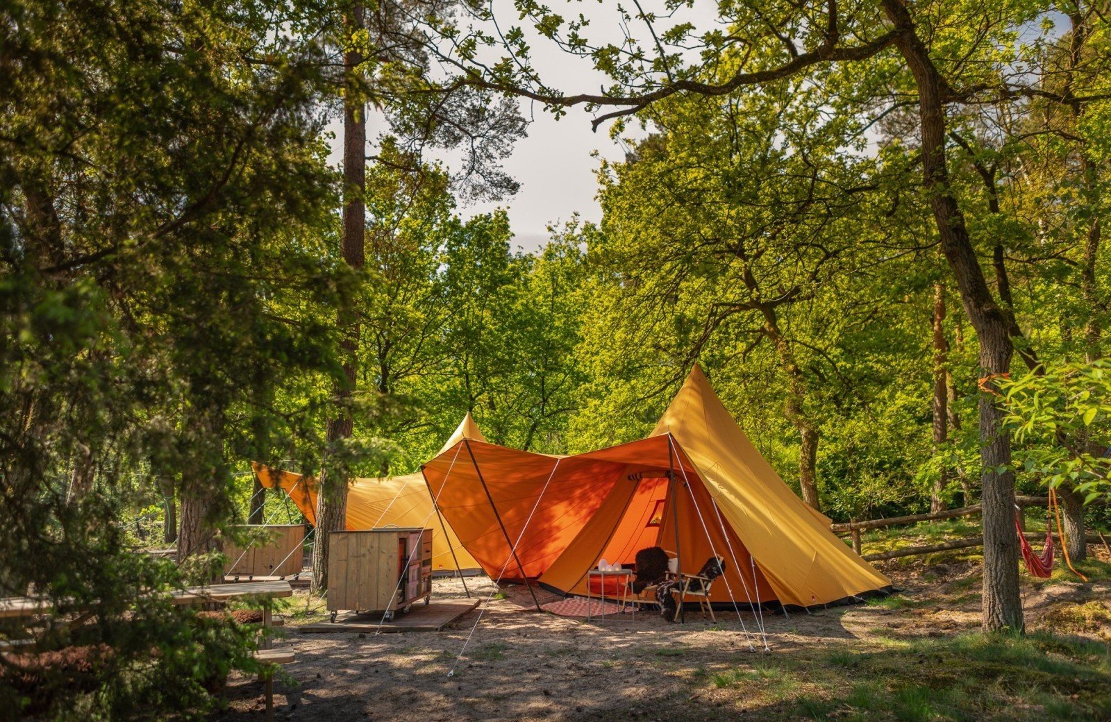 20250503 meuleman voorjaar tipi lr robbaas 4