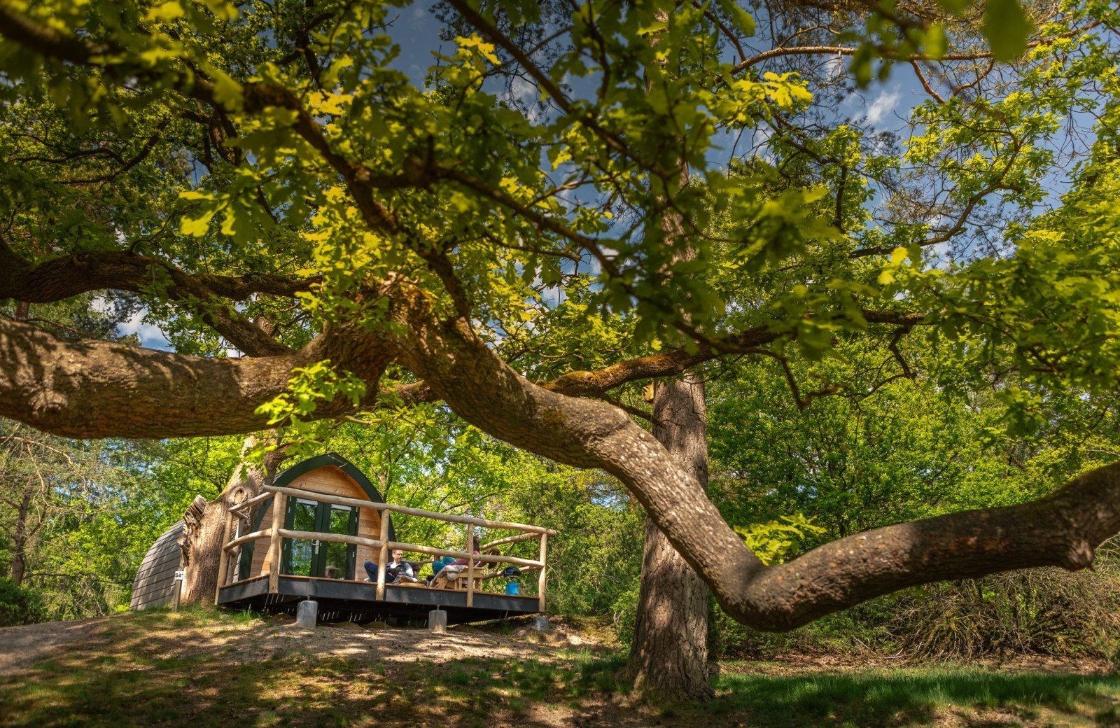 20250503 meuleman voorjaar tipi lr robbaas 54
