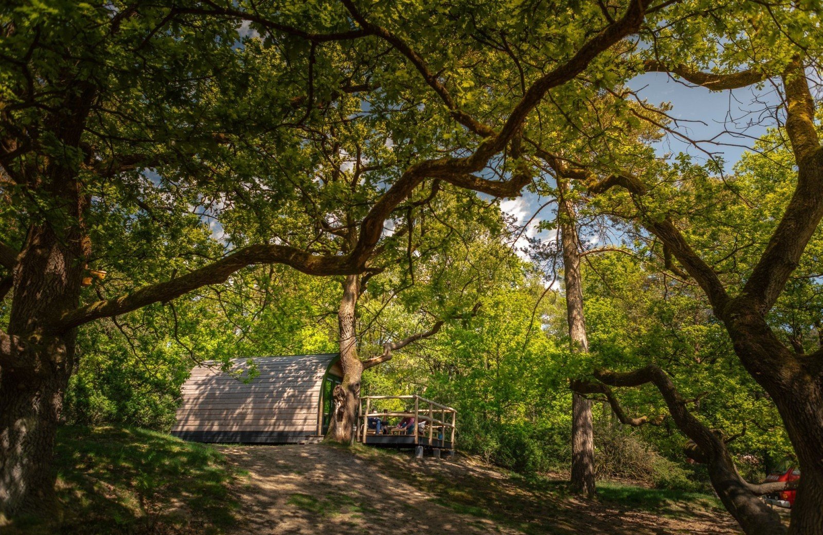 20250503 meuleman voorjaar tipi lr robbaas 57