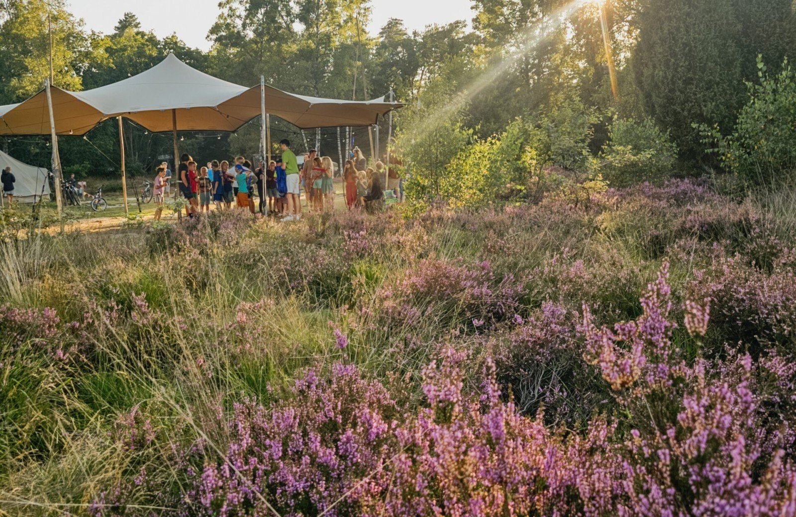 20250811 192940 6993363e24c6c