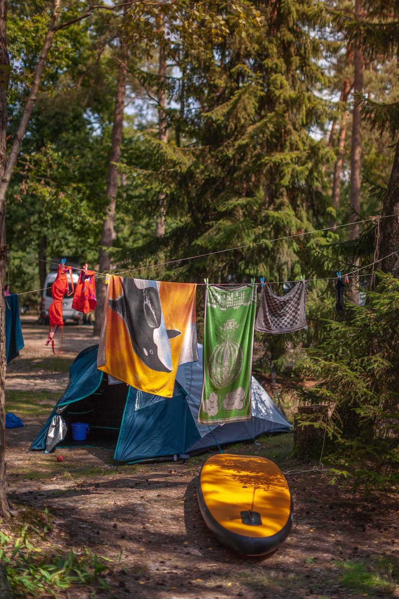 20250812 meuleman zomer lr robbaas 18