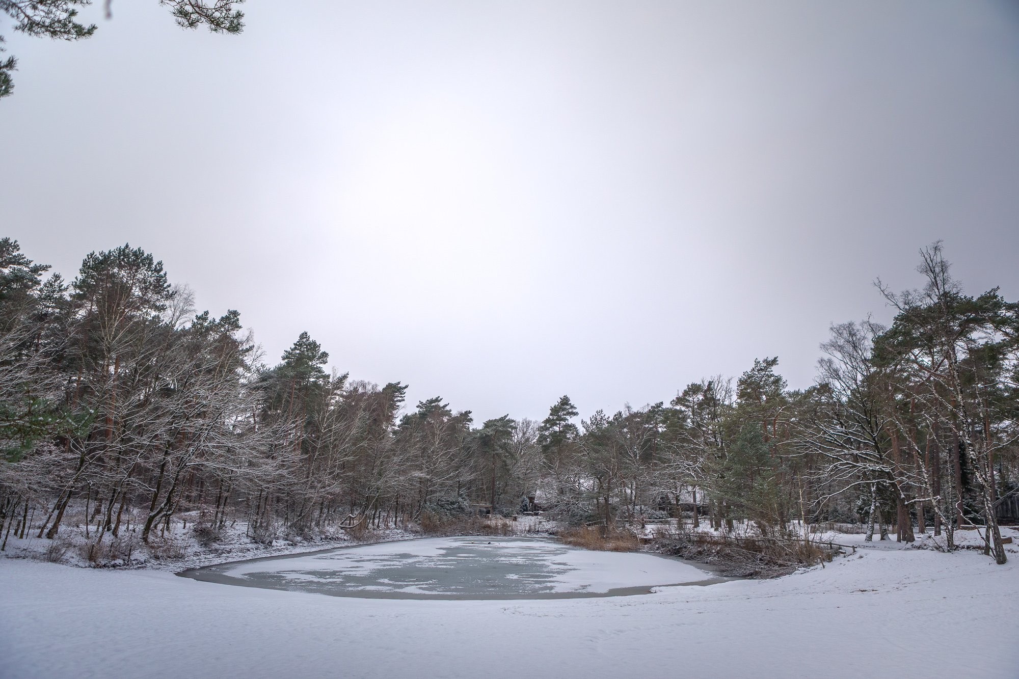 20260106 meuleman winter lr rob baas 19