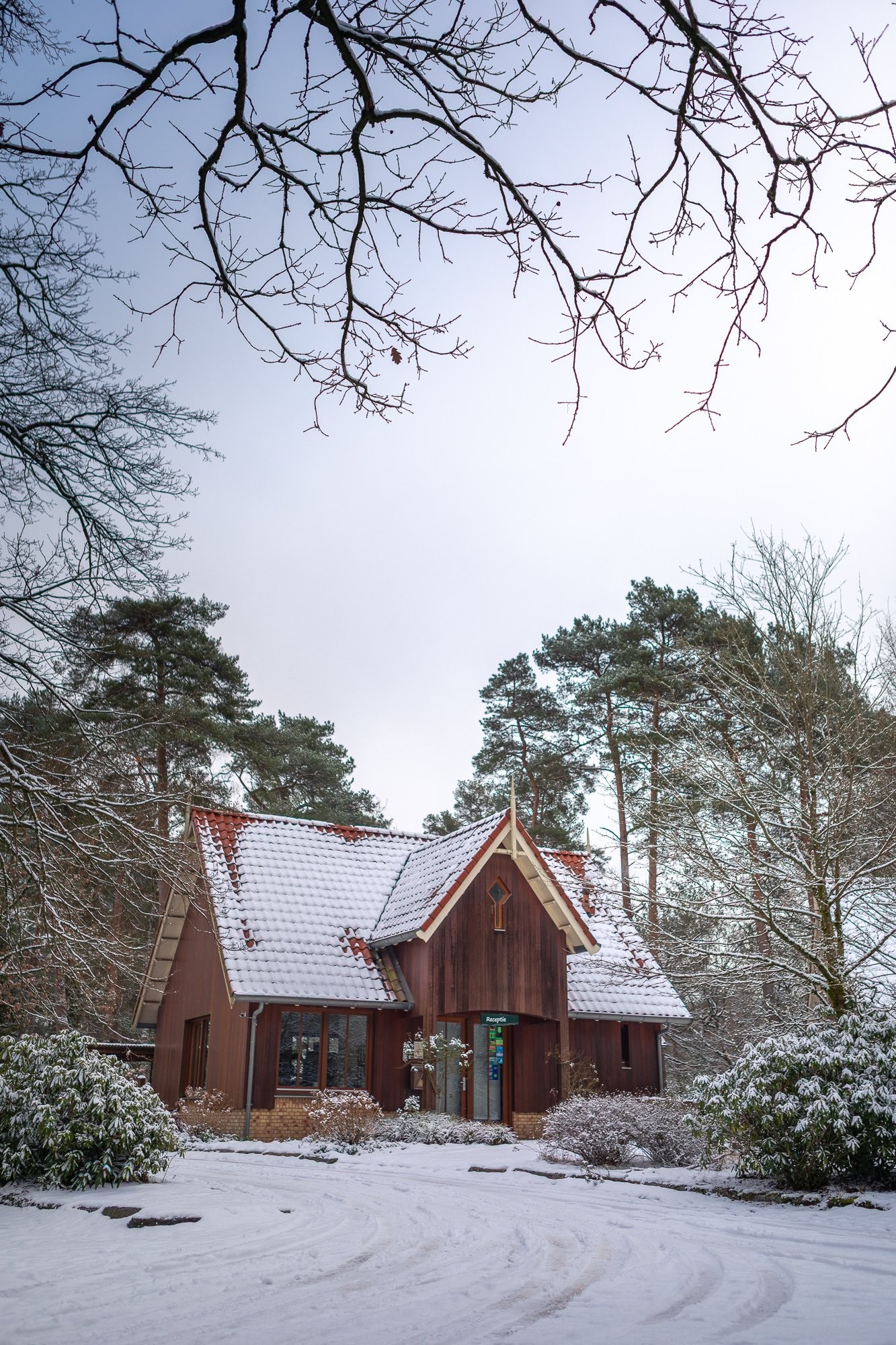 20260106 meuleman winter lr rob baas 2