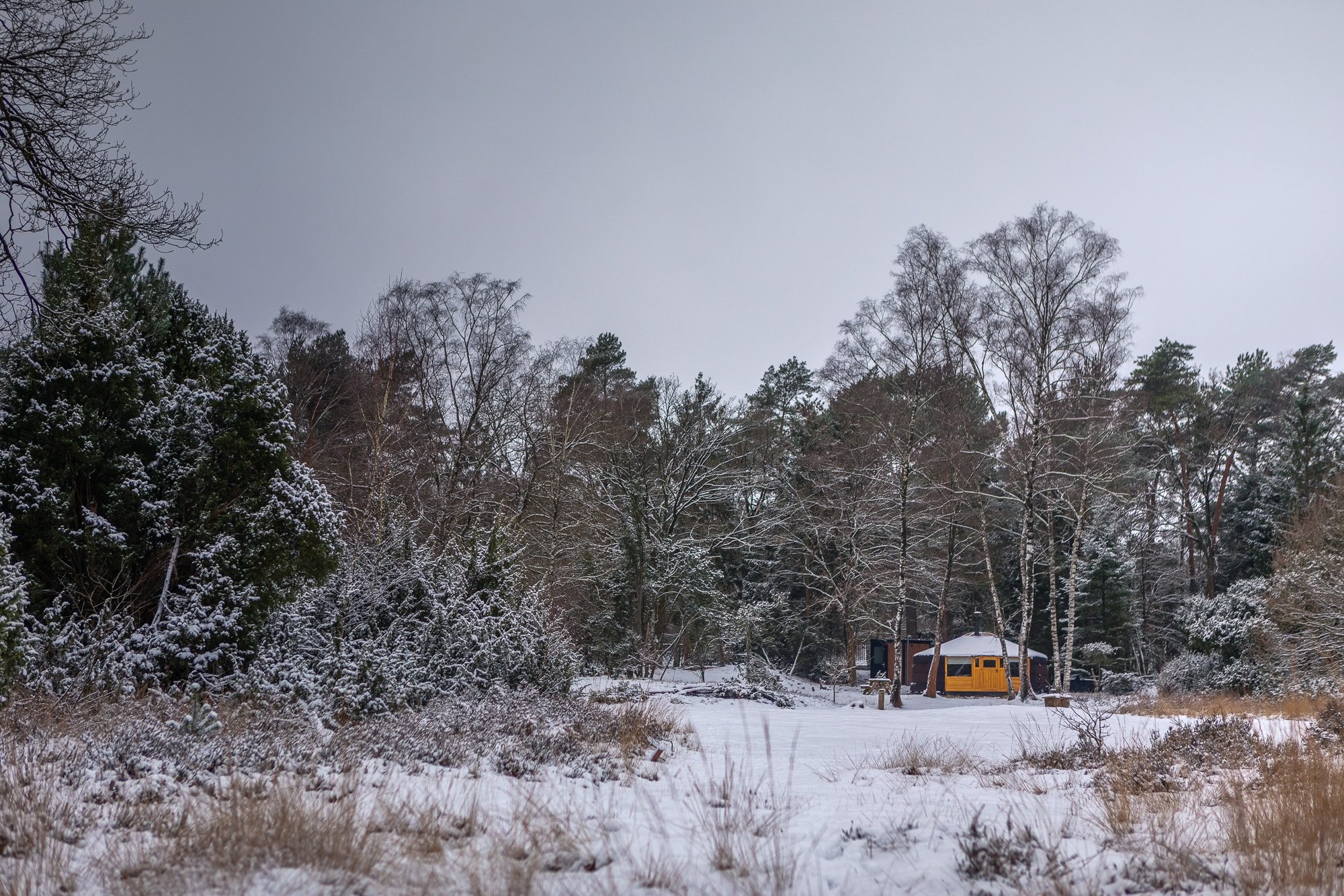 20260106 meuleman winter lr rob baas 29