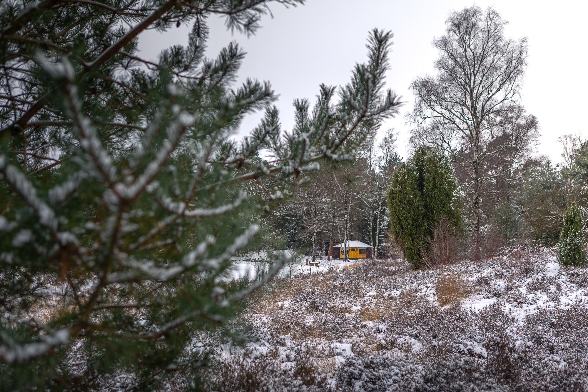 20260106 meuleman winter lr rob baas 31