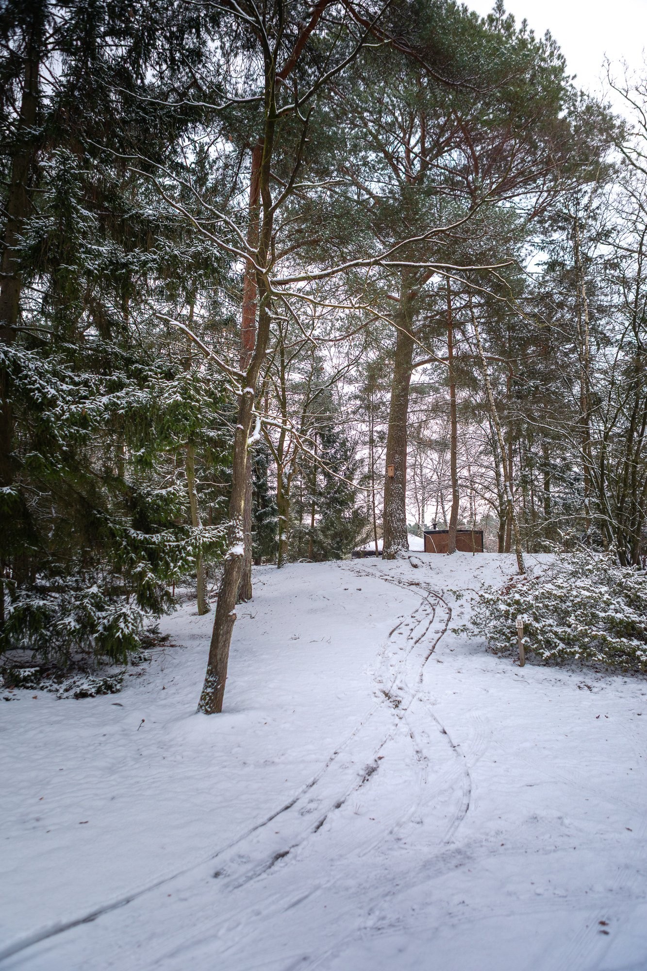 20260106 meuleman winter lr rob baas 48