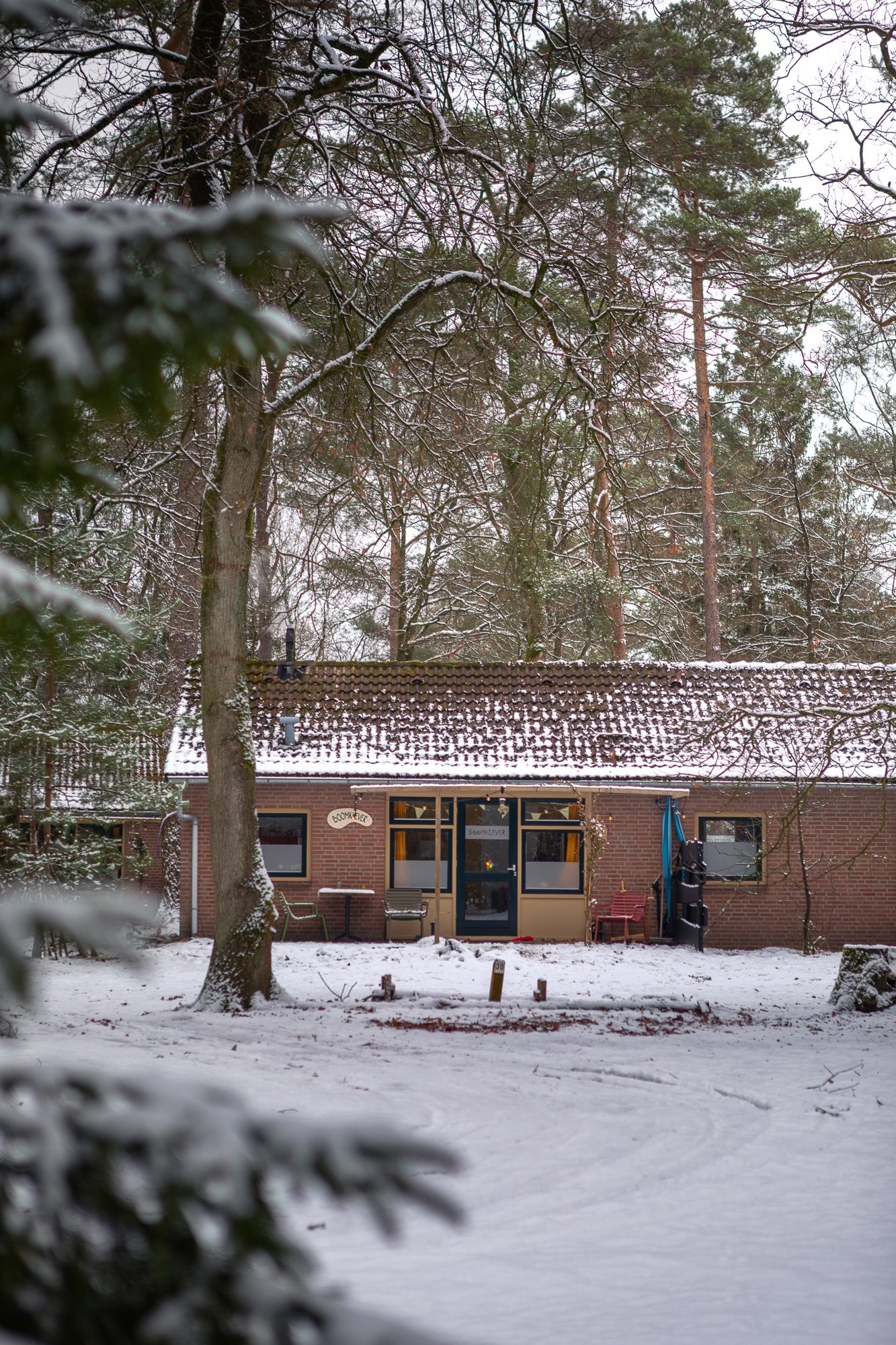 20260106 meuleman winter lr rob baas 6