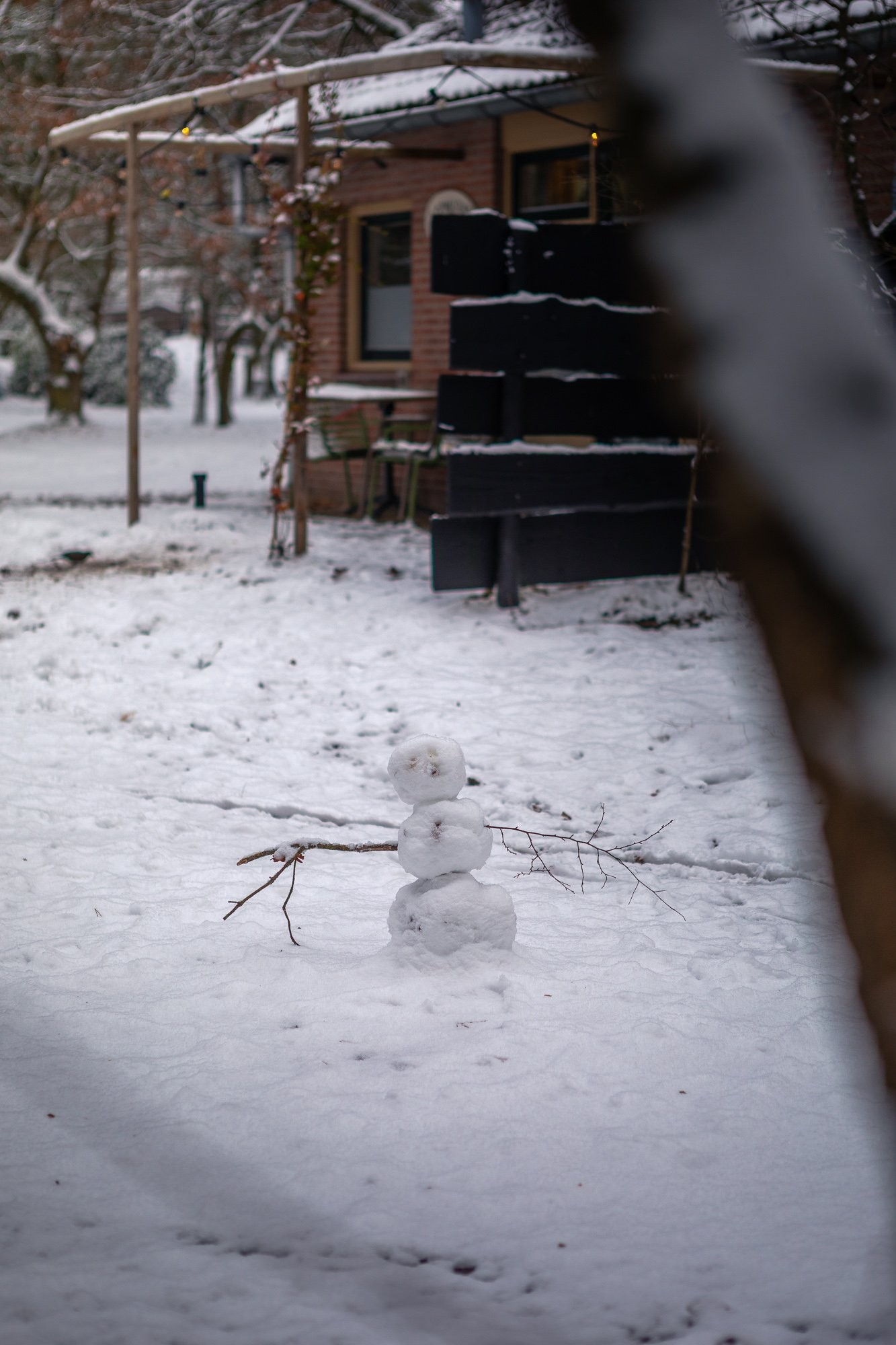 20260106 meuleman winter lr rob baas 9 6a2ffb7263a1b