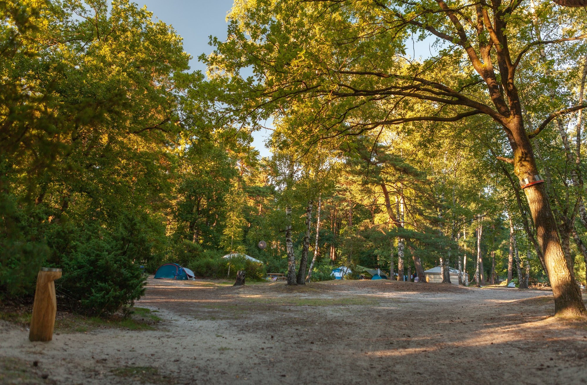 Pfingsten Heidefeldplatz