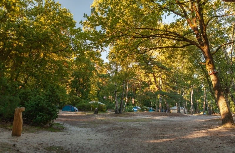 Pfingsten Heidefeldplatz