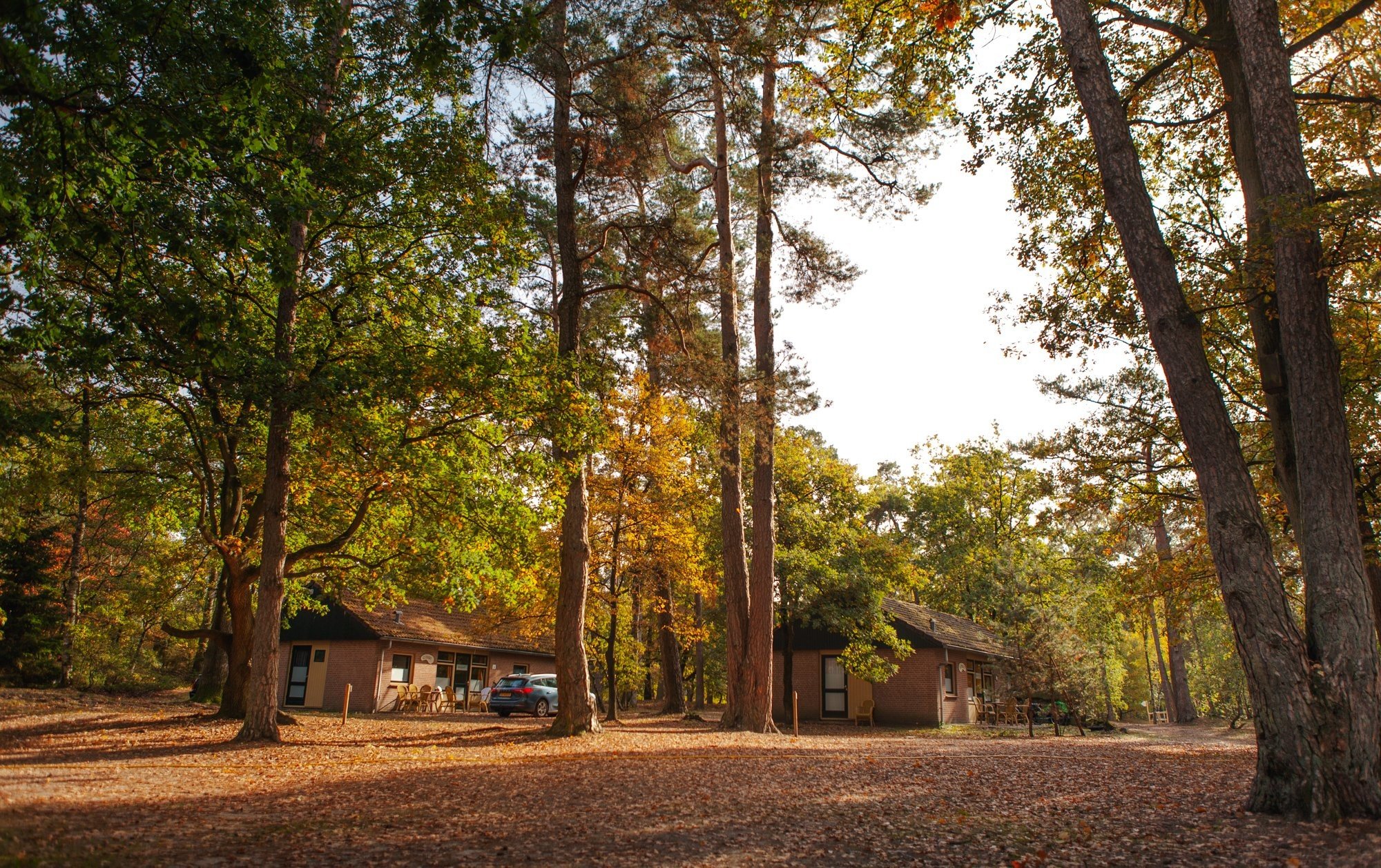 Lastminute kans: Paasweekend huisjes 40% korting!