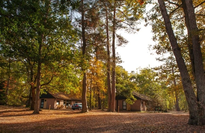 Lastminute kans: Paasweekend huisjes 40% korting!