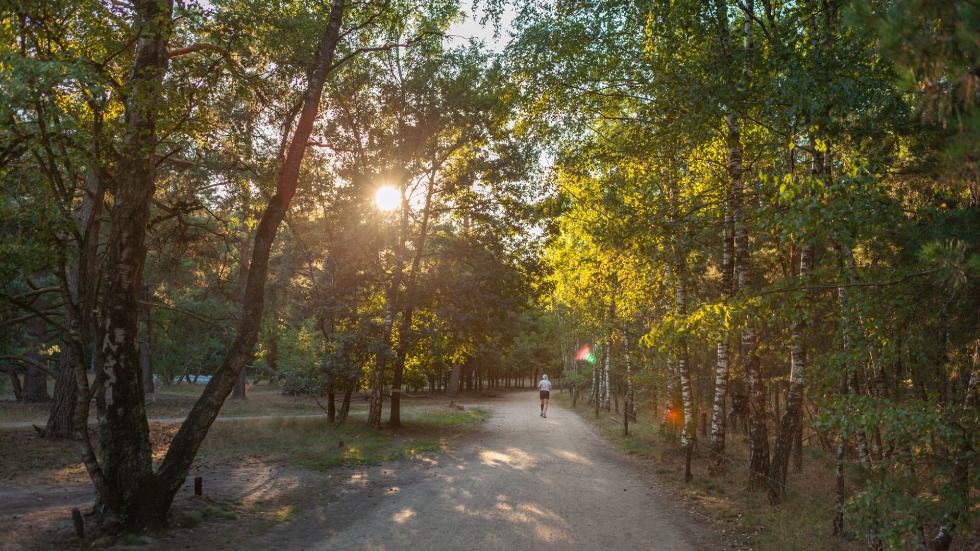 Natuurcamping nederland