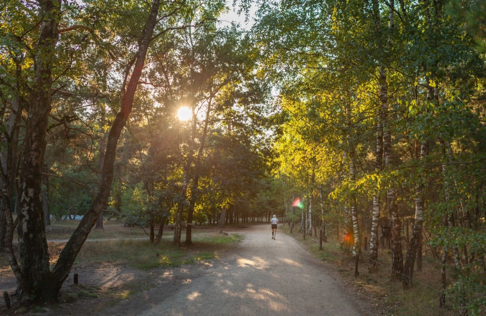 Natuurcamping nederland
