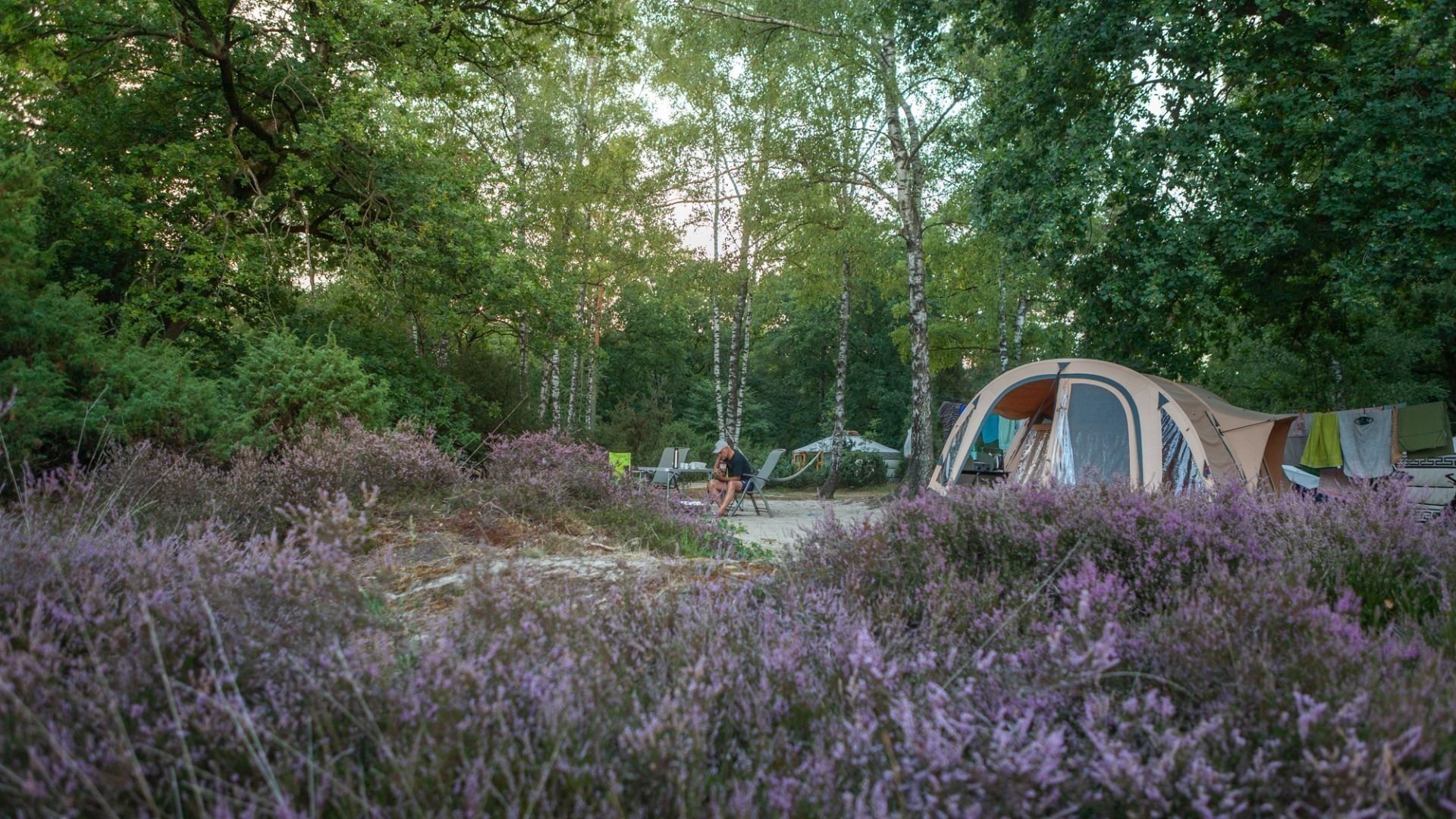 Natuurcamping twente