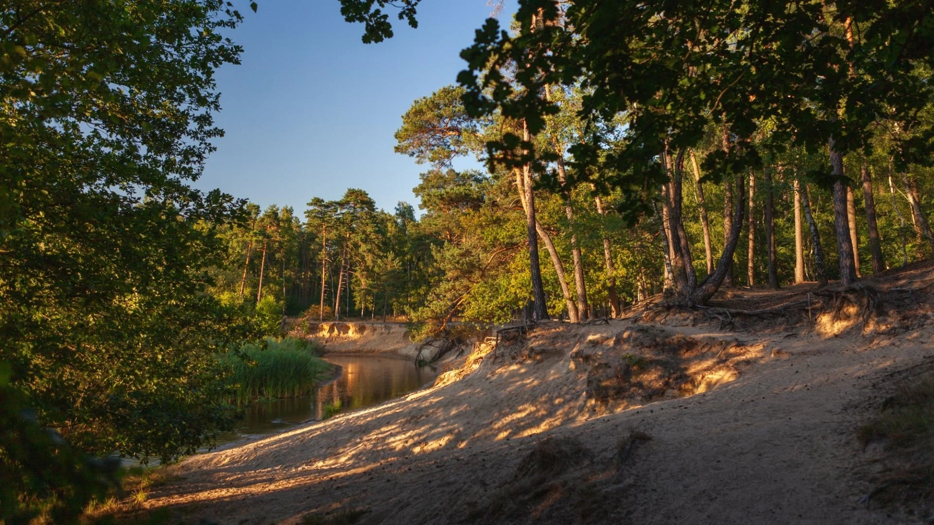 Groen, groener, groenst