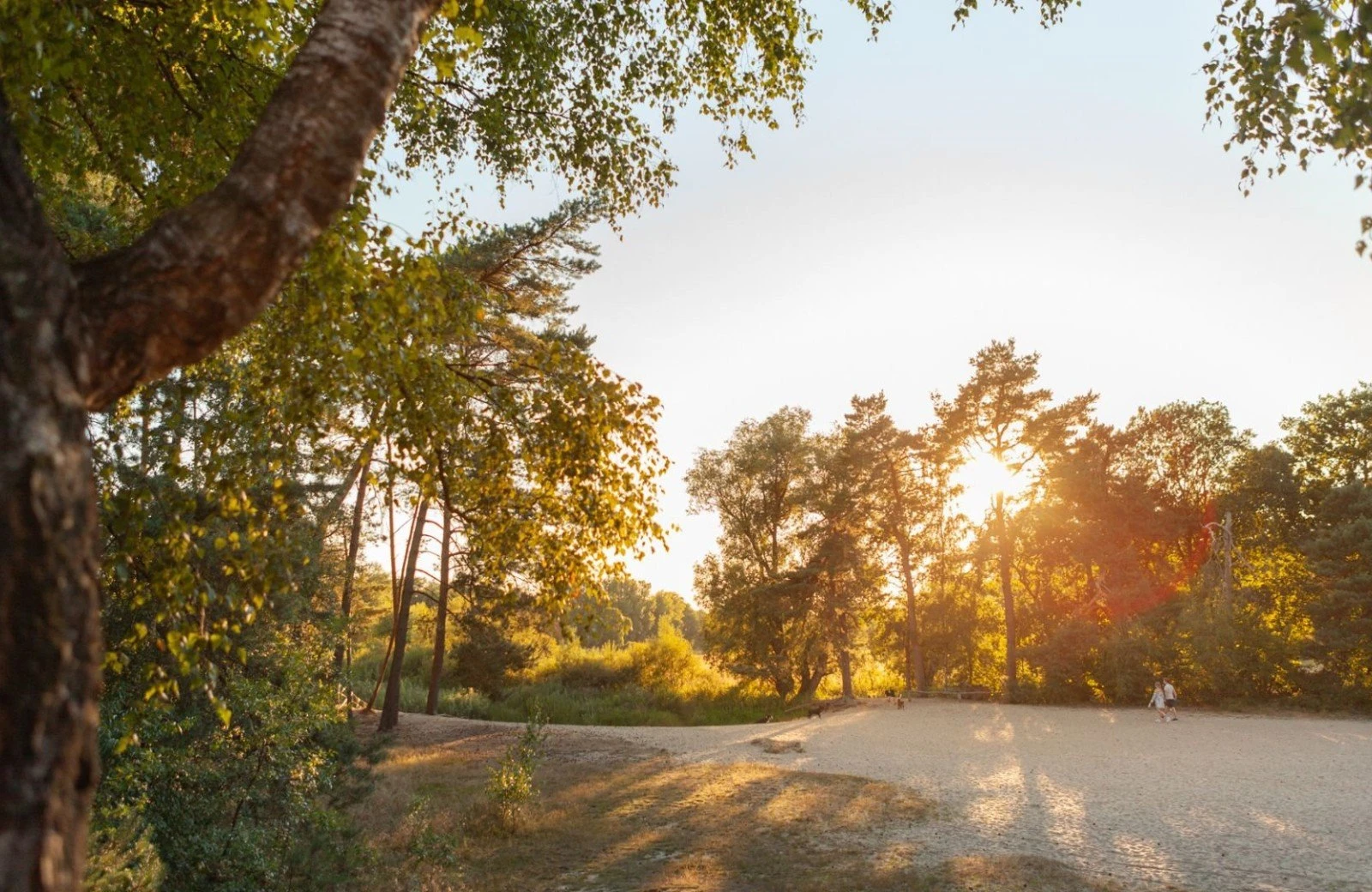 Omgeving landgoedcamping