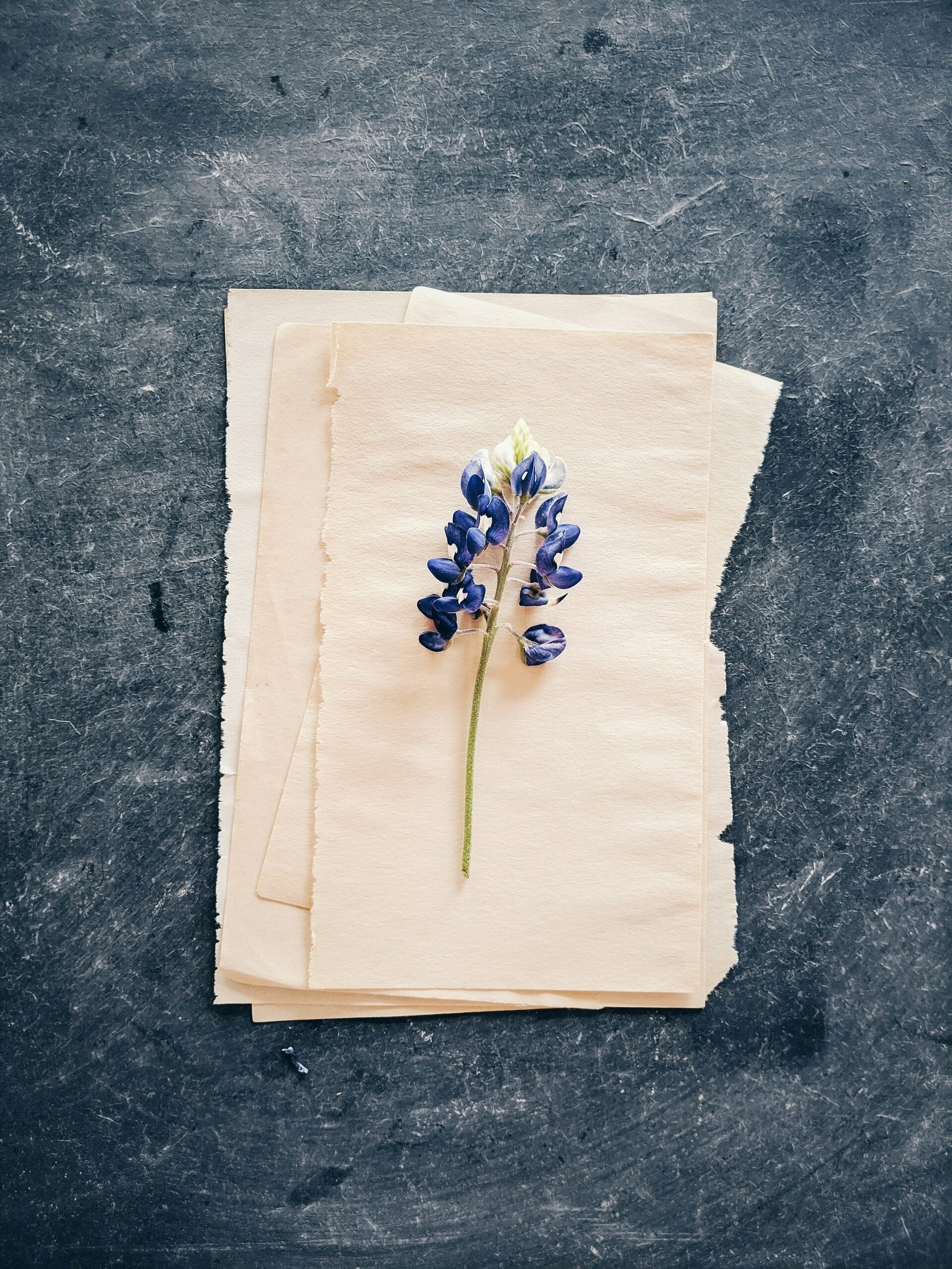 Papier maken met bloemen