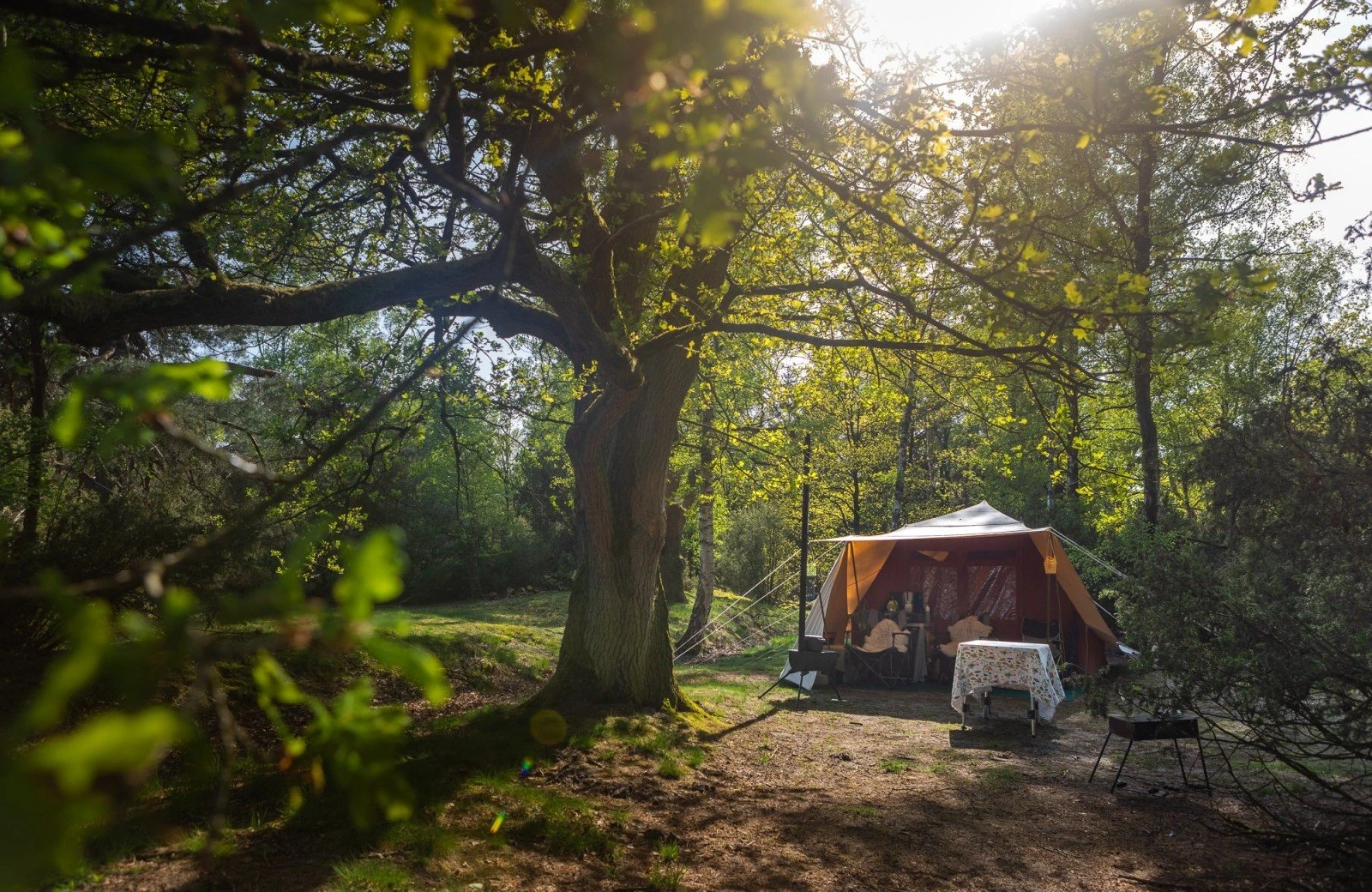Plek 050 20240505 meuleman bloemen voorjaar lr robbaas 16