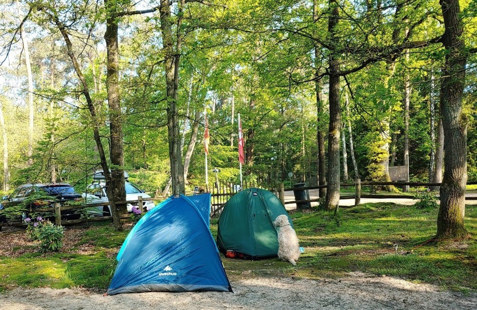 Trekkersveld meuleman hond welkom mei2024